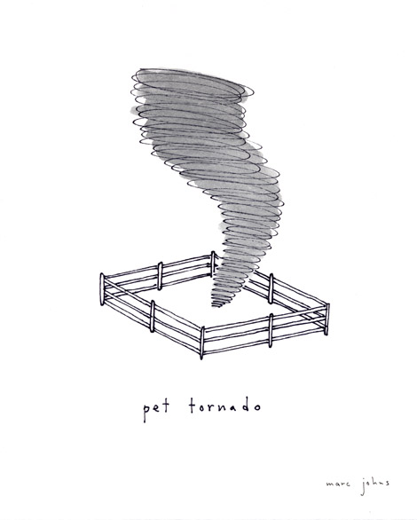 pet-tornado-470