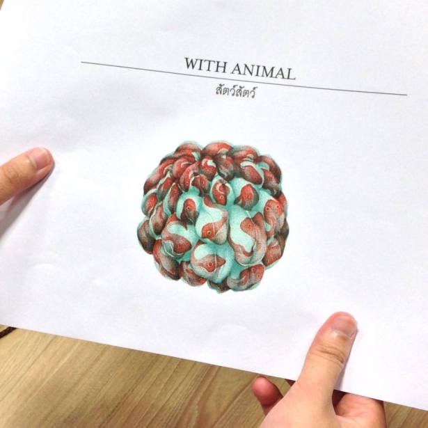 23172589_543645585967334_4043658227613864280_n